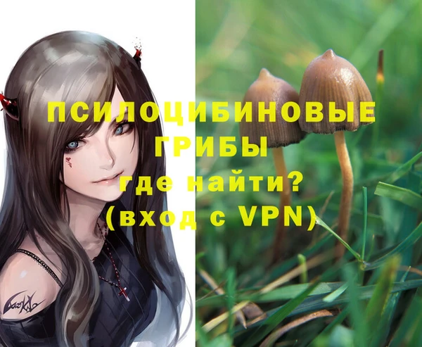 ALPHA PVP Пестово