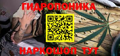 шишки Донецк